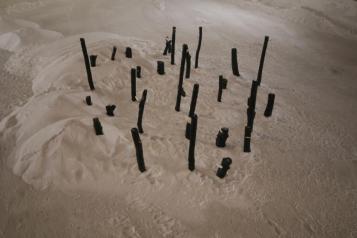 TEST: GERMOGLIANDO. IL BOSCO DEI GERMOGLI DI PIETRA D\'ARIA